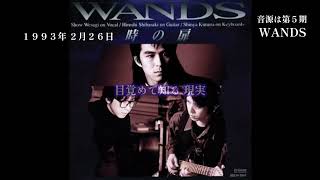 【1990年代】時の扉  WANDS 歌詞付きcover曲 [upl. by Littman735]