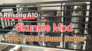 Reisong A10 Skunkie Mod Sound Demo [upl. by Reckford]