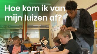 Wat kan ik tegen hoofdluis doen [upl. by Radcliffe53]