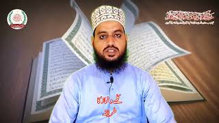 Hafiz Kashif Online Quran academy [upl. by Knut937]