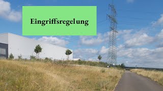 Eingriffsregelung [upl. by Ahsinek]