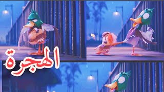 migration فيلم الهجرة مدبلج مصري تحفة ❤️ الهجرة 🦆 🦆 شكلك متضايق وأنت محتاج حضن🦆🦆 [upl. by Jakie]