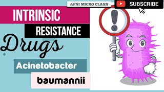 Intrinsic resistant Antibiotics  Acinetobacter baumannii  A baumannii Treatment [upl. by Scheld]