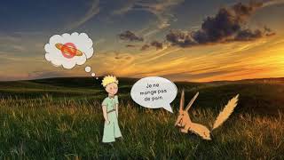 Le Petit Prince et le renard  chapitre XXI [upl. by Arimaj860]