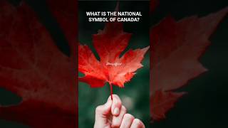 Canadas National symbol🍁 canada mapleleaf canadapride [upl. by Oz662]