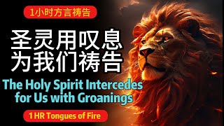 1小时方言聚会：圣灵用说不出的叹息为我们祷告！The Holy Spirit Intercedes for Us with Groanings  方言祷告  烈火方言11月3日方言祷告聚会实录 [upl. by Ysac]