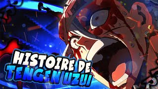 Parlons de lhistoire de Tengen Uzui Le pilier le plus flamboyant de Demon Slayer [upl. by Yerdna]