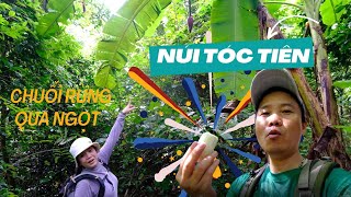 HƯỚNG DẪN ĐƯỜNG LEO NUI TÓC TIÊN BÀ RỊAVŨNG TÀU GUIDE TO THE NUI TOC TIEN Climbing Trail VUNG TAU [upl. by Aratahc]