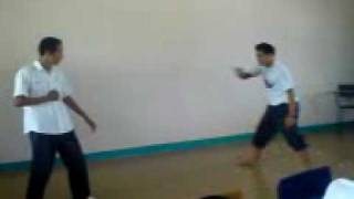 capoeira vs karate demonstration [upl. by Gairc553]