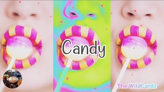 Candy  The Wildcardz Lyrics [upl. by Lucia]