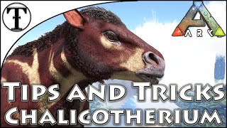 Fast Chalicotherium Taming Guide  Ark  Survival Evolved Tips and Tricks [upl. by Elleiram]