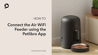 Connect to App  PETLIBRO Air WiFi Feeder [upl. by Maje]