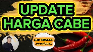 harga cabe rawit merah hari ini 29 September 2024 di pasar induk pare kediri jawa timur [upl. by Rainie]