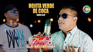 HOJITA VERDE DE COCA  DULCE PASIÓN Video Oficial 2020 [upl. by Luht]