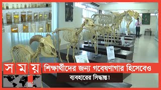 দেশে এই প্রথম তৈরি হলো এনাটমি মিউজিয়াম  Anatomy Museum in Bangladesh  CVASU [upl. by Bayly154]