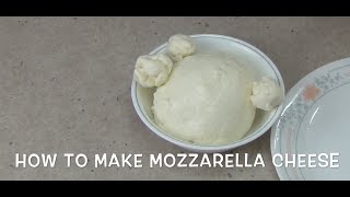 How to Make Mozzarella Cheese at Home cheekyricho video tutorial [upl. by Arihsay]