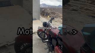 Feeling wild and freeshorts moto bhartiya indian [upl. by Drugi]