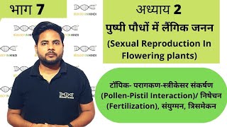 अध्याय 2 भाग 7 पुष्पी पौधों में लैंगिक जनन  जीव विज्ञान कक्षा 12  Sexual repro in flowering plant [upl. by Nus]