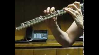 Jupiter DiMedici Used Flute  Like New Demo Low and High [upl. by Columbyne]