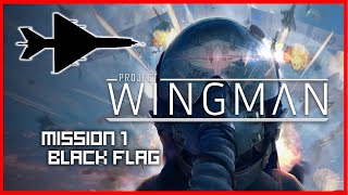 Project Wingman  Mission 1 Black Flag [upl. by Auqinimod]