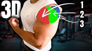 The 3 MOST POWERFUL Shoulder Exercises To Achieve 3D DELTOIDS [upl. by Tiduj353]