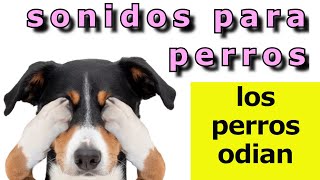 Sonidos Para Perros 🐶 5 Sonidos que los Perros ODIAN 🐶 [upl. by Isteb666]