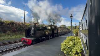 Vale of Rheidol no 8 Llywelyn October 2024 [upl. by Maiocco]