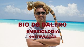 EMBRIOLOGIA  PARTE 03  GASTRULAÇÃO [upl. by Waylen]