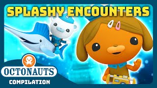 Octonauts  💦 SPLASHY Sea Creature Encounters 🦑  3 Hours Full Episodes Marathon [upl. by Aiak]