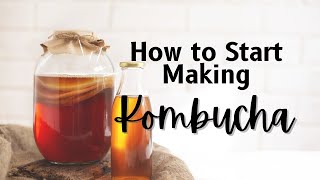 How to Easily Make Kombucha At Home [upl. by Anatsirhc931]