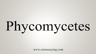 How To Say Phycomycetes [upl. by Latt]