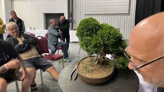 Shohin Bonsai Masterclass at The Bonsai Show Live [upl. by Granniah]