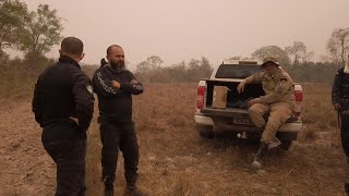 Prison volunteers help combat Brazils Pantanal wildfires  AFP [upl. by Coop]