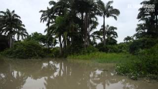 A orillas del río Guayas Biodiversidad [upl. by Crespi]