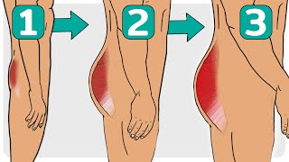 3 ScienceBased Steps to Strong Glutes [upl. by Daus]