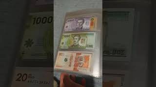 my south American banknote collection 2024 [upl. by Morganica]