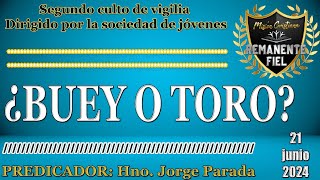 TEMA ¿BUEY O TORO  EN VIVO 21JUNIO2024 [upl. by Moulden]