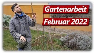 Gartenarbeit Februar  Extremschnitt Feigenbaum Marillen schneiden PawPaw Frühlingsblüher [upl. by Ynatil79]