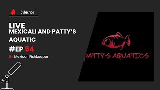 Ep 54 Mexicali and Pattys Aquatics [upl. by Trin840]