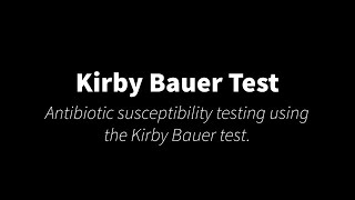 Kirby Bauer Test [upl. by Cower]