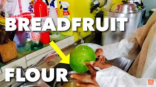 How to Make BREADFRUIT FLOUR  It was this easy 😱🤯 [upl. by Nicolis]