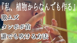 【絶対吹けるようになる】タンポポ笛の作り方吹き方｜野遊び｜昔の遊び [upl. by Yekciv]