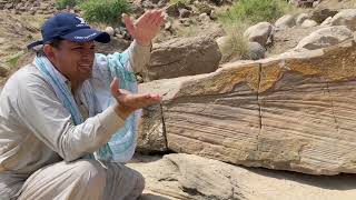 Trough Cross Beds within Upside Down in Sandstone [upl. by Justis]