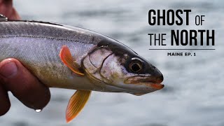 EP 1 MAINE ARCTIC CHAR Fishing for the Rare Blueback Trout of the North Maine Woods [upl. by Airamzul]