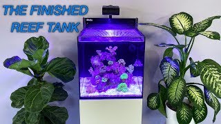 How to Setup a Reef Tank  Part 5 Hardy Beginner Fish amp Cycling [upl. by Gibbie]