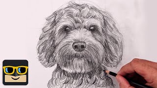 How To Draw a DOG  LABRADOODLE Sketch Tutorial [upl. by Plank]