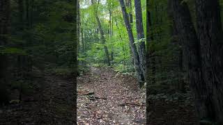 A walk in the White Mountains Sabbaday Falls Trail Campton New Hampshire whitemountains [upl. by Goldner]