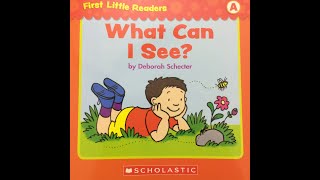 WHAT CAN I SEE  BOOKS READ ALOUD FOR KIDS  Scholastic First Little Readers Level A [upl. by Derby133]