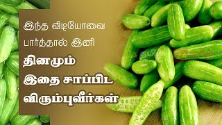 Kovakkai Health Benefits in Tamil  Ivy Gourd [upl. by Aneehsal]