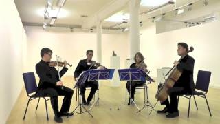 Fly Me To The Moon Cover  Arta String Quartet [upl. by Chesney725]